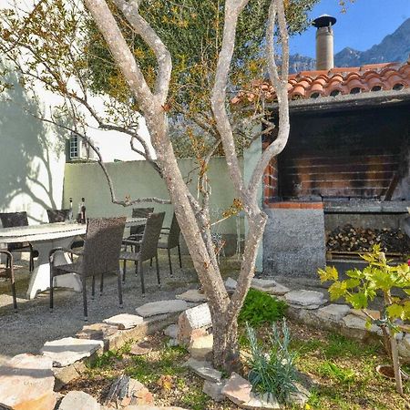 מאקרסקה Villa Jelena מראה חיצוני תמונה
