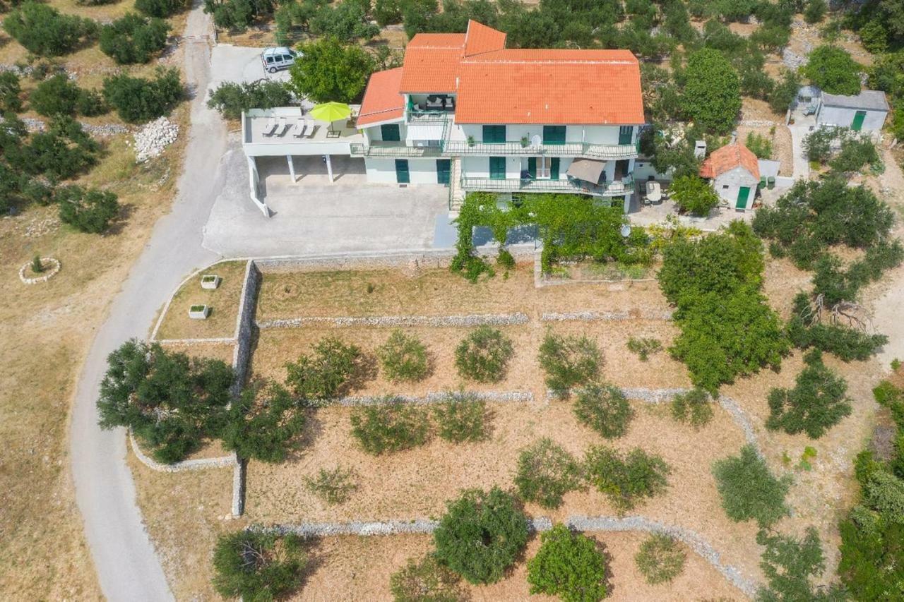 מאקרסקה Villa Jelena מראה חיצוני תמונה